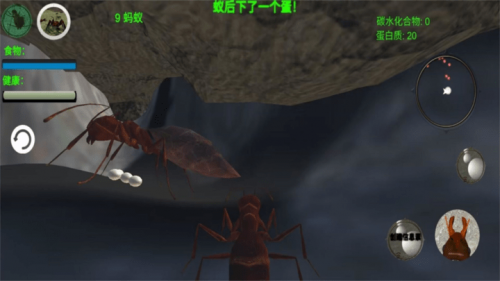 奇妙动物世界探险免费下载截图