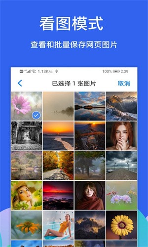 alook浏览器下载截图