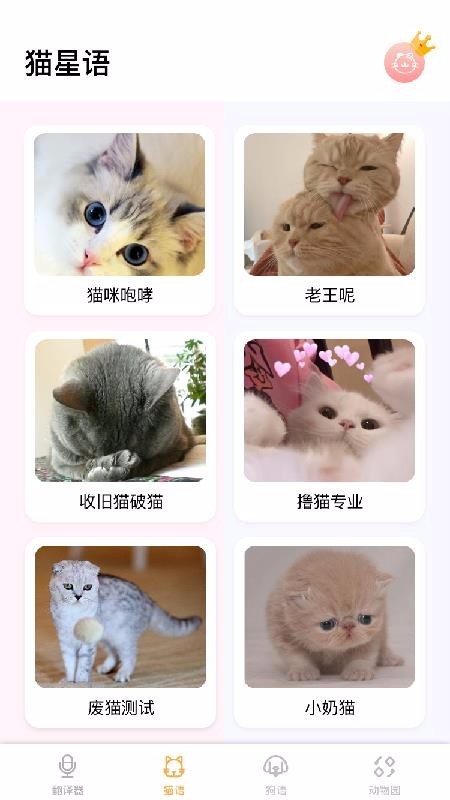 è�﷭���ʦapp���ؽ�ͼ